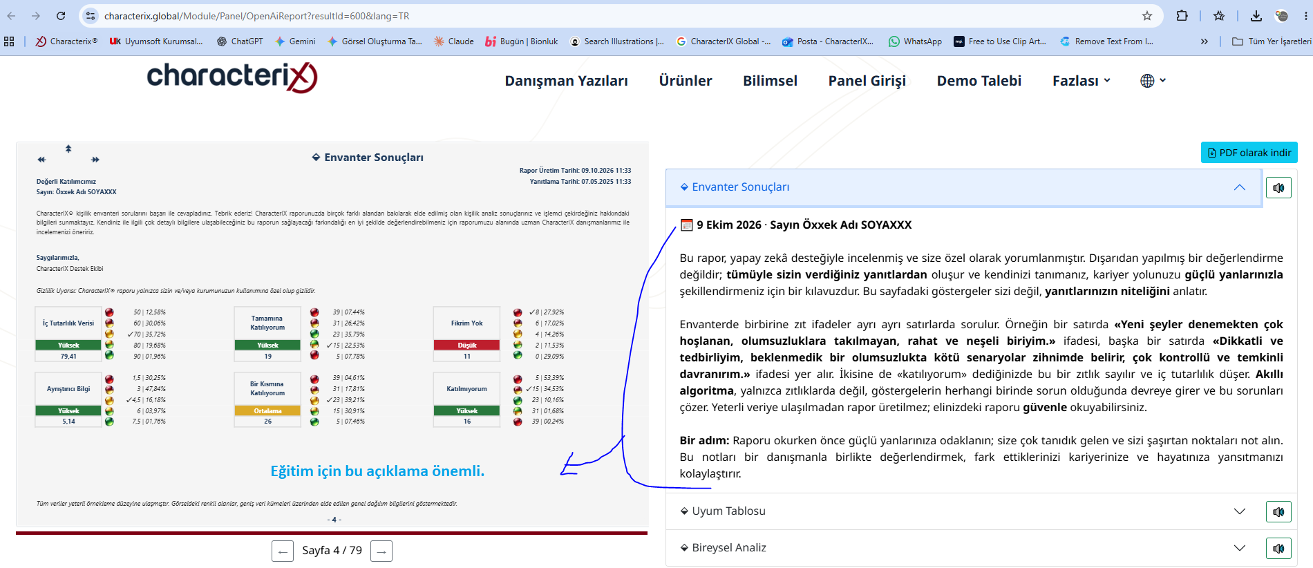 Rapor y&ouml;nerge a&ccedil;ıklaması